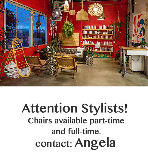 Stylists at Spank - Alameda Hair Salon